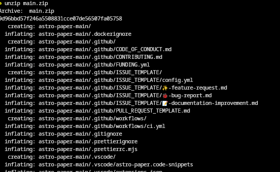 unzip downloaded package