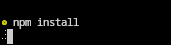 npm install